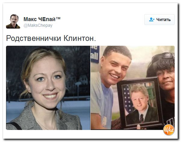 "Мыздобулы" в картинках. Смешных и не очень... 13-10-2016