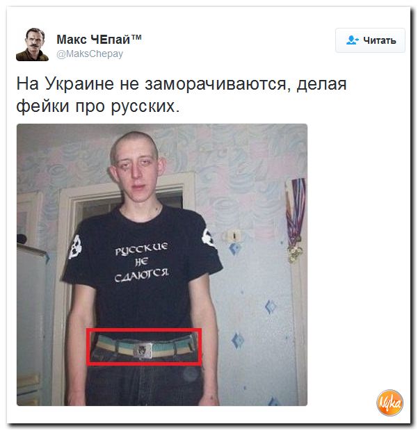 "Мыздобулы" в картинках. Смешных и не очень... 13-10-2016