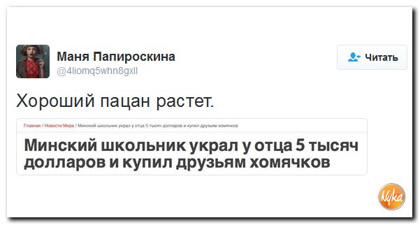 "Мыздобулы" в картинках. Смешных и не очень... 13-10-2016