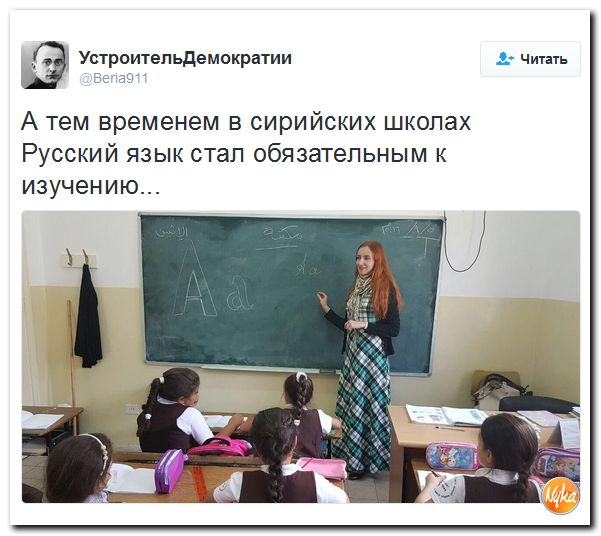 "Мыздобулы" в картинках. Смешных и не очень... 13-10-2016