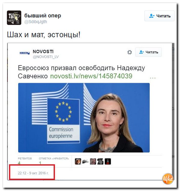 "Мыздобулы" в картинках. Смешных и не очень... 13-10-2016