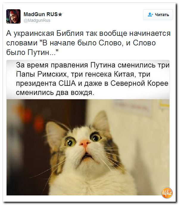 "Мыздобулы" в картинках. Смешных и не очень... 13-10-2016