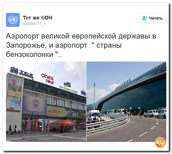 "Мыздобулы" в картинках. Смешных и не очень... 13-10-2016