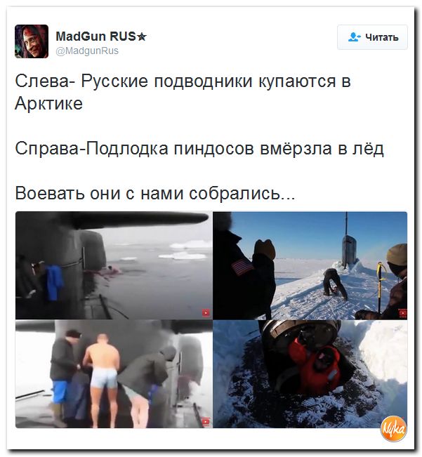 "Мыздобулы" в картинках. Смешных и не очень... 13-10-2016