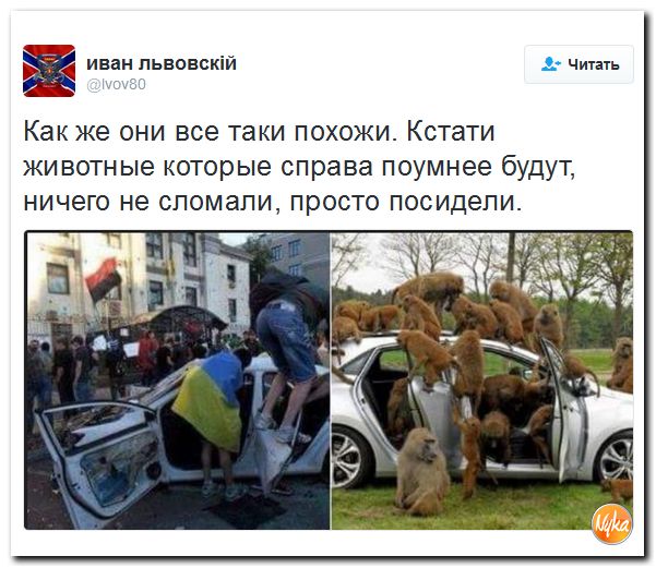 "Мыздобулы" в картинках. Смешных и не очень... 13-10-2016