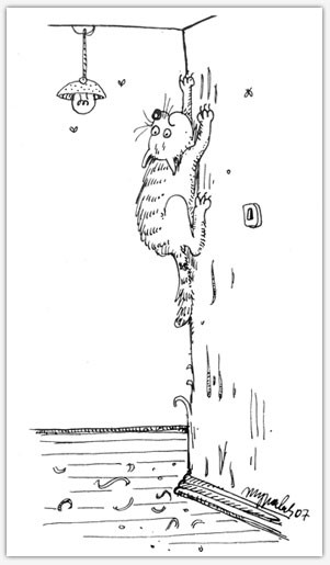 "Правила кошек"  Маргариты Журавлевой