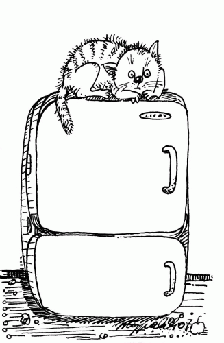 "Правила кошек"  Маргариты Журавлевой