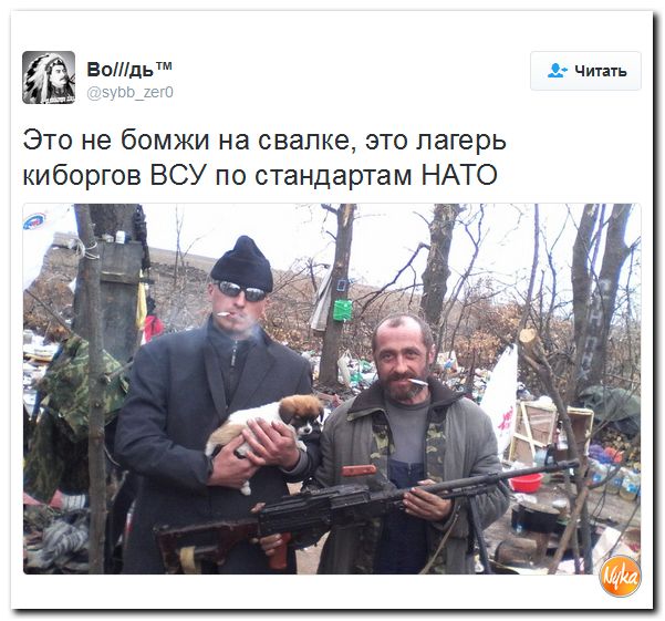 "Мыздобулы" в картинках. Смешных и не очень... 15-10-2016