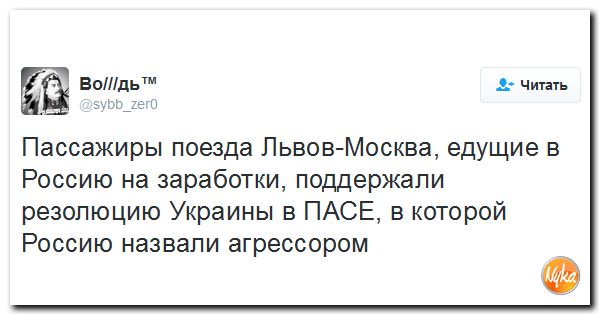 "Мыздобулы" в картинках. Смешных и не очень... 15-10-2016