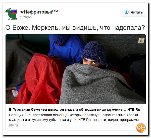 "Мыздобулы" в картинках. Смешных и не очень... 15-10-2016