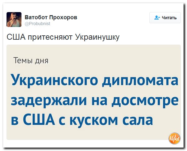 "Мыздобулы" в картинках. Смешных и не очень... 15-10-2016