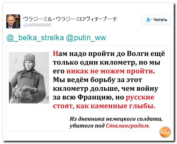 "Мыздобулы" в картинках. Смешных и не очень... 15-10-2016