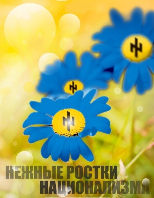 Итоги недели. Киевский режим в национал-горячке
