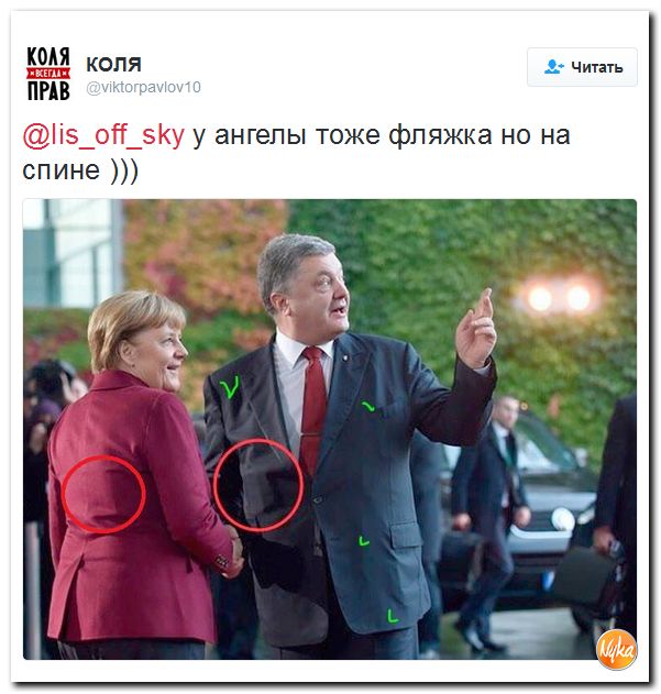 "Мыздобулы" в картинках. Смешных и не очень... 20-10-2016
