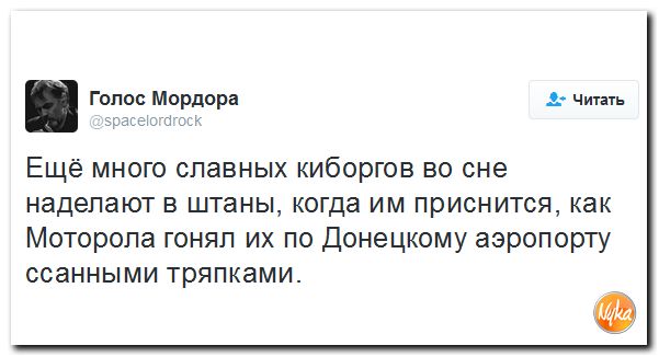 "Мыздобулы" в картинках. Смешных и не очень... 20-10-2016