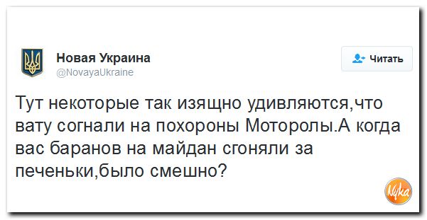 "Мыздобулы" в картинках. Смешных и не очень... 20-10-2016