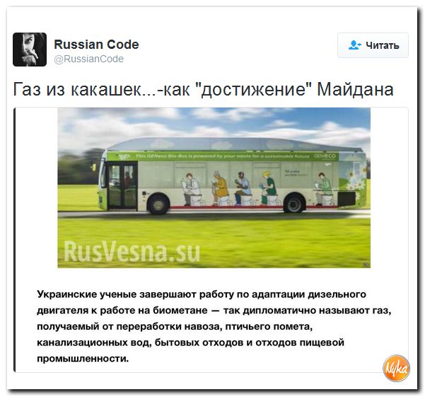 "Мыздобулы" в картинках. Смешных и не очень... 20-10-2016
