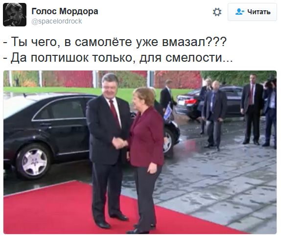 "Мыздобулы" в картинках. Смешных и не очень... 20-10-2016
