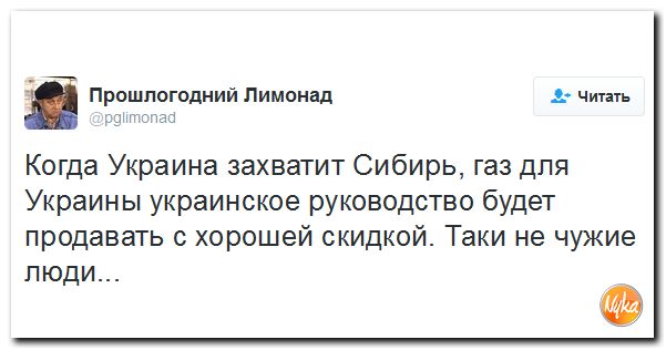 "Мыздобулы" в картинках. Смешных и не очень... 20-10-2016