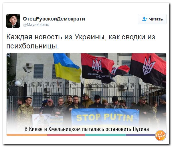"Мыздобулы" в картинках. Смешных и не очень... 20-10-2016