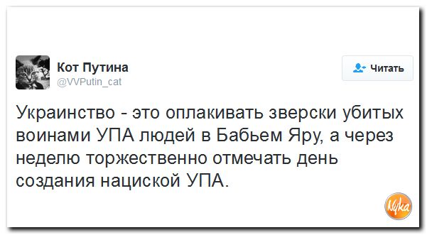 "Мыздобулы" в картинках. Смешных и не очень... 20-10-2016