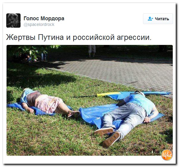 "Мыздобулы" в картинках. Смешных и не очень... 20-10-2016