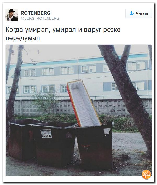 "Мыздобулы" в картинках. Смешных и не очень... 20-10-2016