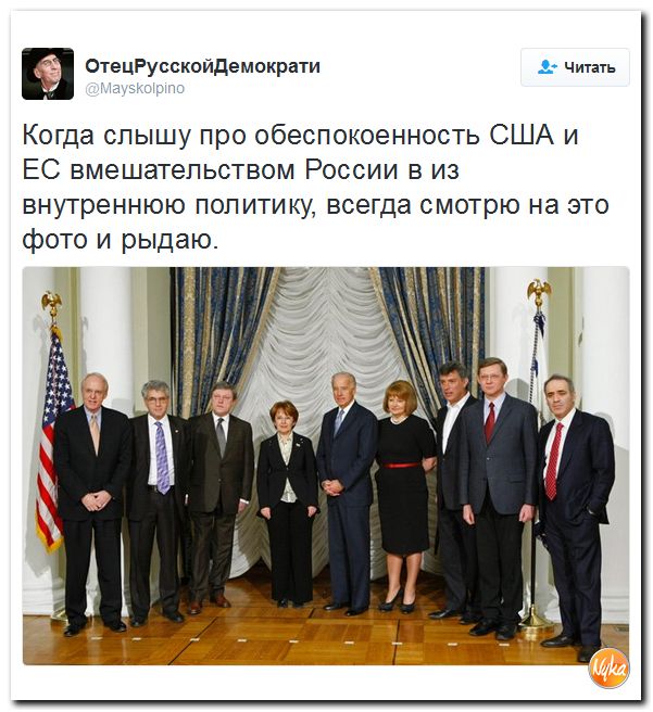 "Мыздобулы" в картинках. Смешных и не очень... 20-10-2016