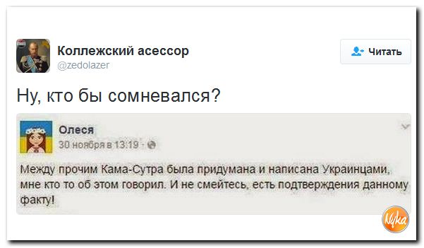"Мыздобулы" в картинках. Смешных и не очень... 20-10-2016