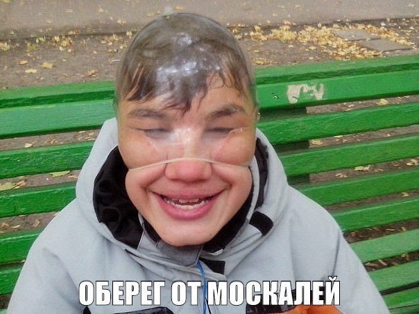 "Мыздобулы" в картинках. Смешных и не очень... 20-10-2016