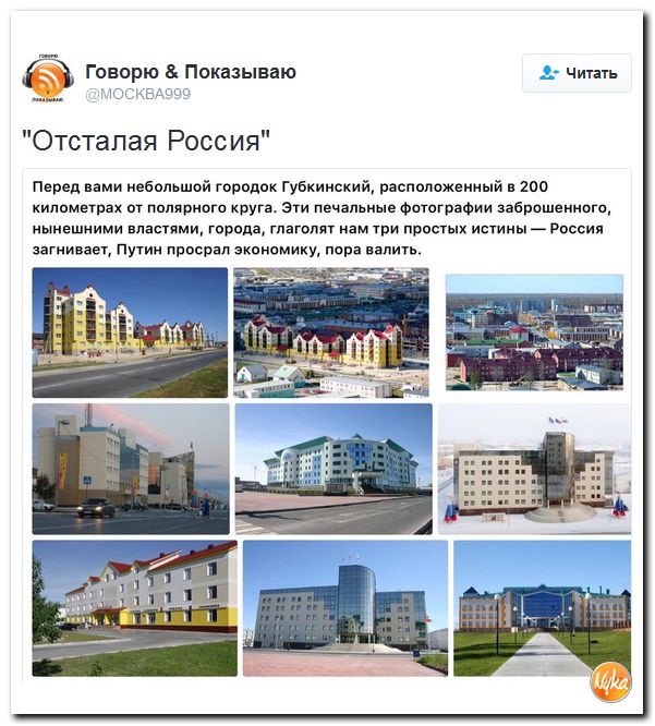 "Мыздобулы" в картинках. Смешных и не очень... 20-10-2016