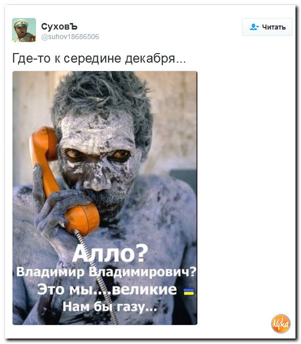 "Мыздобулы" в картинках. Смешных и не очень... 20-10-2016