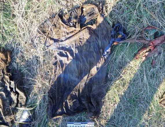 В Луганской области нашли захоронение убитых мужчин со следами пыток В Луганской области нашли захоронение убитых мужчин со следами пыток