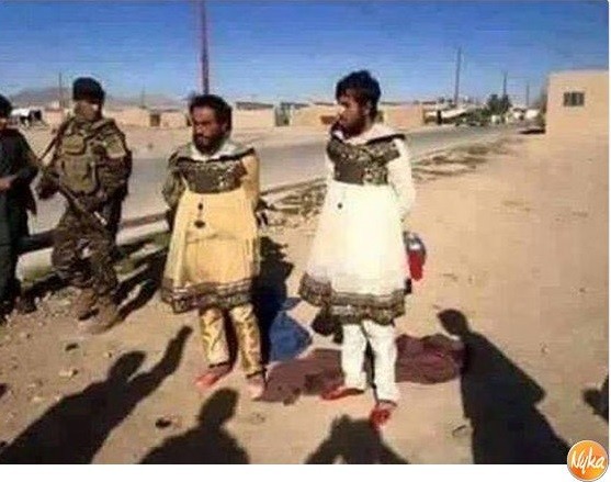 Фото дня. "Нам понятно всё без слов..." - 5 Фото дня. "Нам понятно всё без слов..." - 5