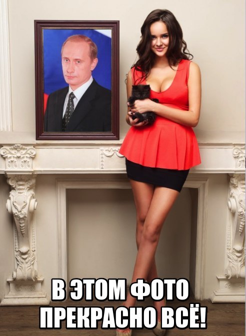 "Мыздобулы" в картинках. Смешных и не очень... 21-10-2016