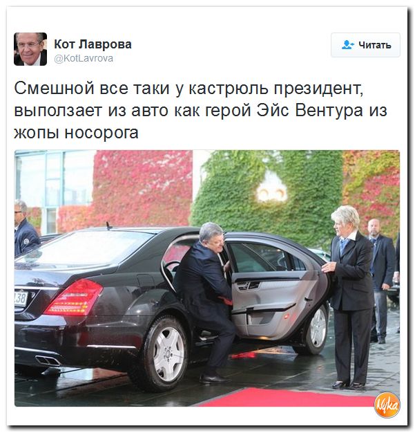 "Мыздобулы" в картинках. Смешных и не очень... 21-10-2016