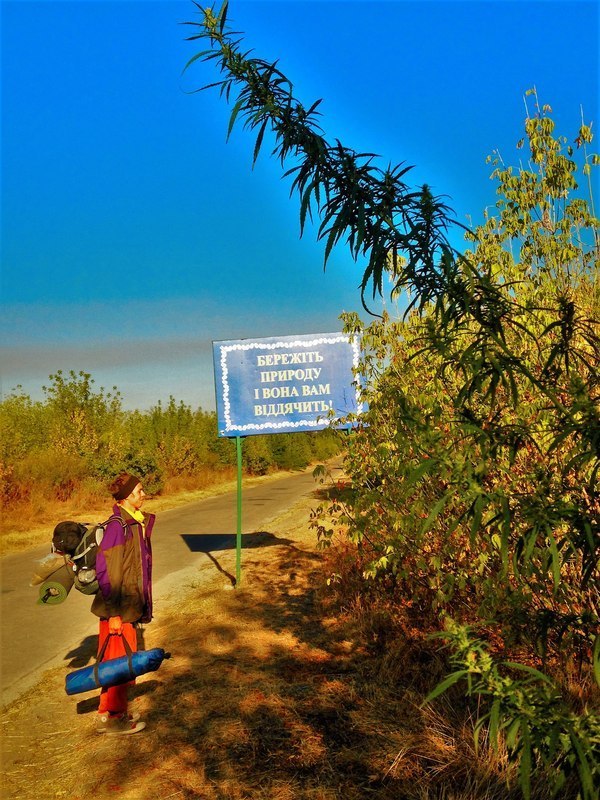 "Мыздобулы" в картинках. Смешных и не очень... 21-10-2016