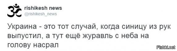 "Мыздобулы" в картинках. Смешных и не очень... 21-10-2016