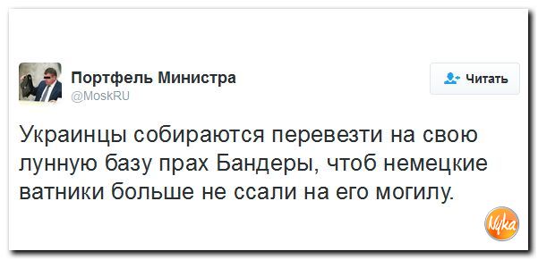 "Мыздобулы" в картинках. Смешных и не очень... 21-10-2016