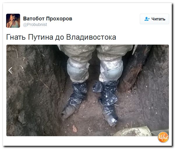 "Мыздобулы" в картинках. Смешных и не очень... 21-10-2016