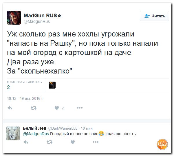 "Мыздобулы" в картинках. Смешных и не очень... 21-10-2016