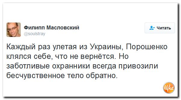 "Мыздобулы" в картинках. Смешных и не очень... 21-10-2016