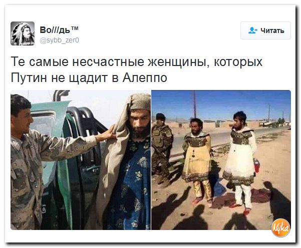 "Мыздобулы" в картинках. Смешных и не очень... 21-10-2016