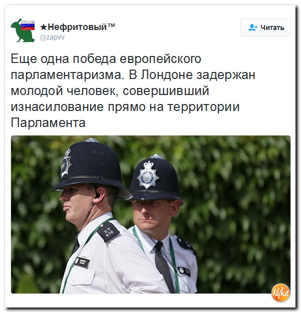 "Мыздобулы" в картинках. Смешных и не очень... 21-10-2016