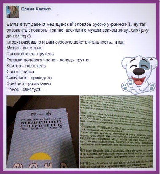 "Мыздобулы" в картинках. Смешных и не очень... 21-10-2016