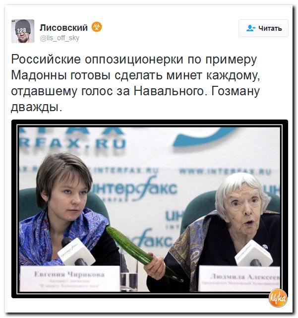 "Мыздобулы" в картинках. Смешных и не очень... 21-10-2016