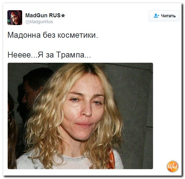 "Мыздобулы" в картинках. Смешных и не очень... 21-10-2016