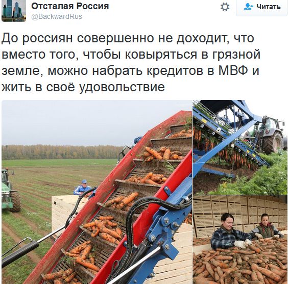 "Мыздобулы" в картинках. Смешных и не очень... 22-10-2016 "Мыздобулы" в картинках. Смешных и не очень... 22-10-2016