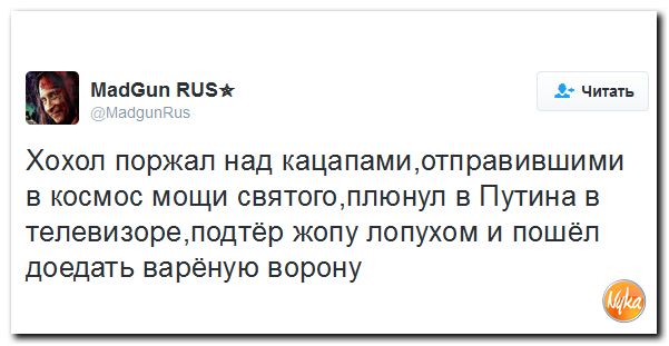 "Мыздобулы" в картинках. Смешных и не очень... 24-10-2016