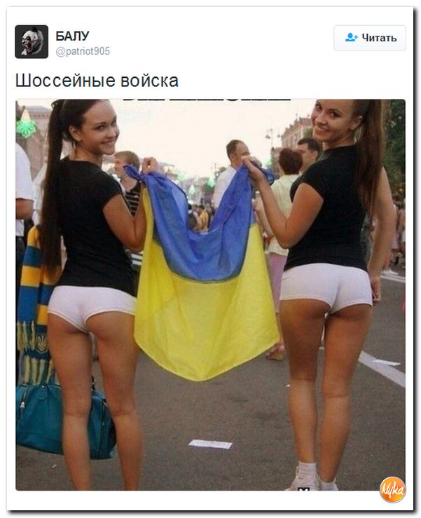 "Мыздобулы" в картинках. Смешных и не очень... 24-10-2016